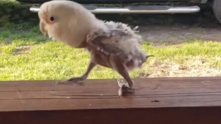 أنا في أكتوبر!