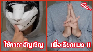 ใช้คาถาอัญเชิญ น้องเหมียวจงออกมา !! ( รวมคลิปฮาพากย์นรก )