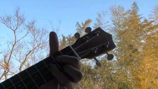 🌿🌺🎶