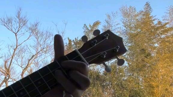 🌿🌺🎶