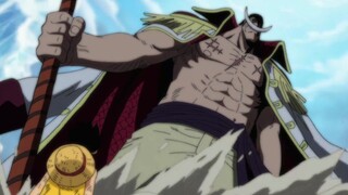 Luffy là người duy nhất dám nói chuyện với Râu Trắng như thế này phải không?