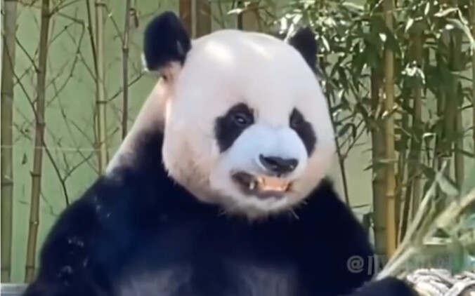 No wonder they’re father and daughter!