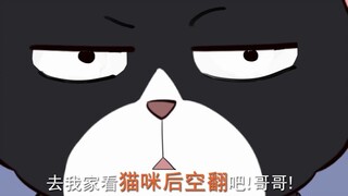 又要吃饭又要减肥，还要看什么猫咪后空翻，看我的永动猫空翻吧！