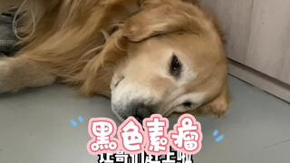 A "Big Mole" Growing on the Skin