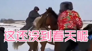 小土豆来东北骑马，结果这马发情了