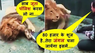 इन जानवरों के कारनामे देखकर आपकी हसी नहीं रुकने वाली |Most Funny Animals, Cute Pets Part -80 Comedy