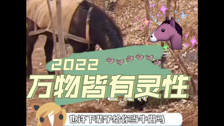 Semua benda punya jiwa! Ternyata hidup di kehidupan berikutnya sebagai sapi atau kuda itu benar-bena