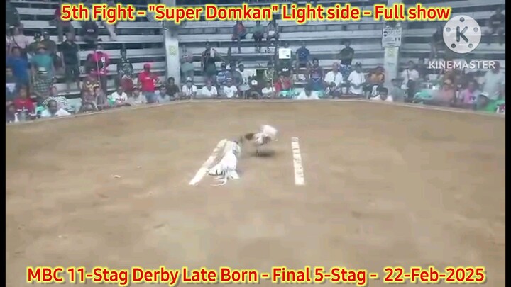 Super Domkan "Light side" 5th Fight Winner - 2025 WPC MBC 11-Stag Derby Lateborn Edition - Finals