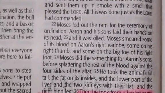 Daily Verse.        Leviticus 8:22-26.