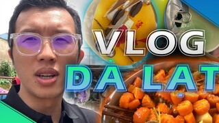 VLOG ĐÀ LẠT, CÔNG THỨC TĂNG CHIỀU CAO BỀN VỮNG, NGẮM VIEW THE MANGO HOT !!
