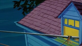 Tom and Jerry | Buddies and Lifes Compilation