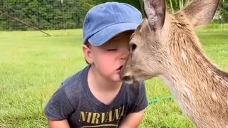 同样是幼崽 同样可爱❤