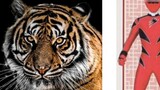 [Diproduksi oleh BYK] Harimau itu kuat! Pahlawan fotografi spesial dengan elemen harimau (Masked, Se