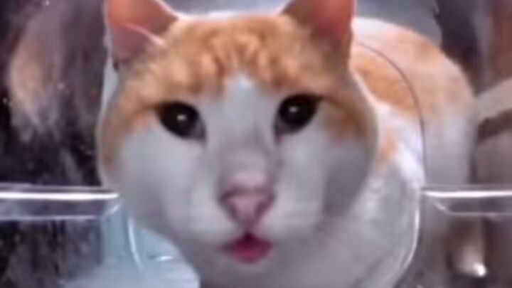 ทารกโลหะ