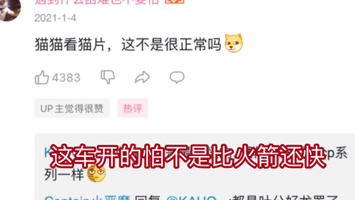 “Nhờ bạn hỏi hộ, thích xem phim về mèo có bình thường không?”