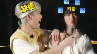 "Yến Hạo Tường này cũng có vấn đề."