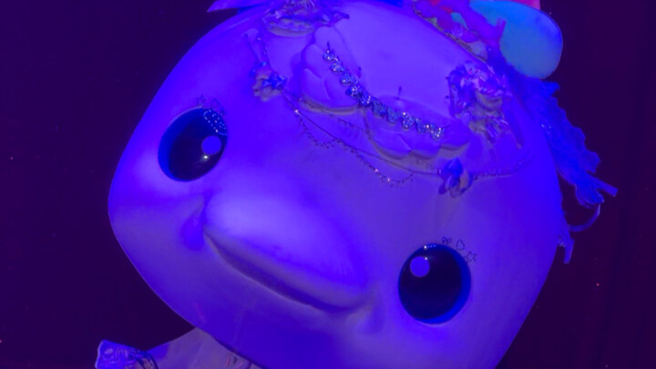 Princess Jump's YESOK Live Performance Reel