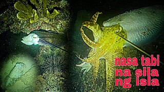 ep246.SA TABI NG ISLA MAY COLAMBOTAN PANG TIRA night spearfishing Philippines.