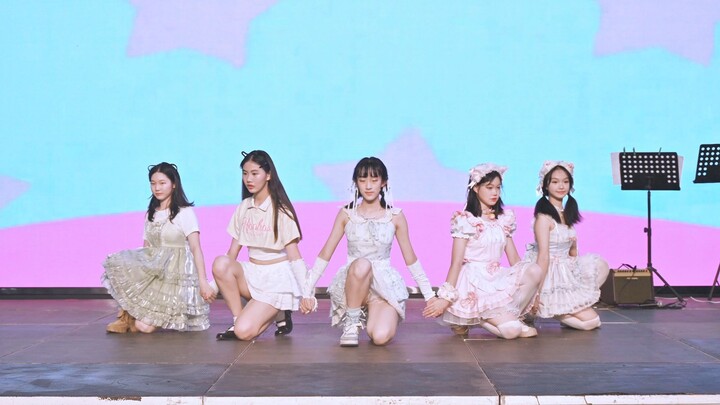 从深圳实验借来的猫！