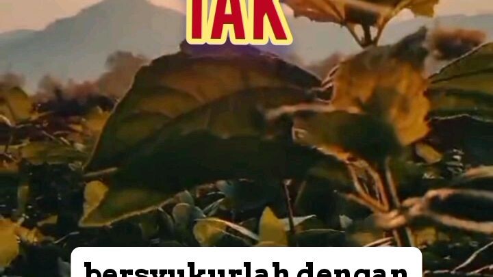 banyak bersyukur pada Allah