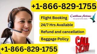 Copa Airline𝖘Ⓝ ® USA Customer™ Service® Contact Numbers : A Step-by-Step Guide