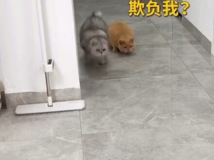 سلسلة حركات سلسة صغيرة