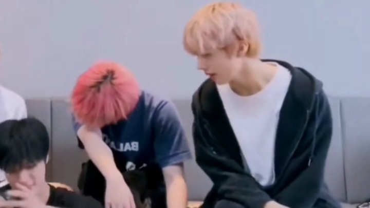 【ดาวแห่งดวงดาว】เปลือก พวกคุณมีของเด็ดนะ