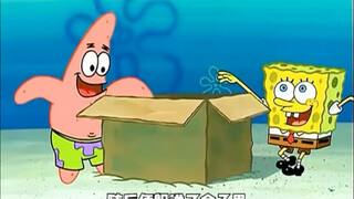 这天小海绵的快递到了