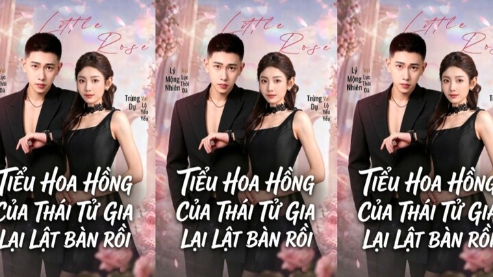 TRỌN BỘ - TIỂU HOA HỒNG CỦA THÁI TỬ GIA LẠI LẬT BÀN RỒI ( Lý Mộng Nhiên , Trừng Dụ )