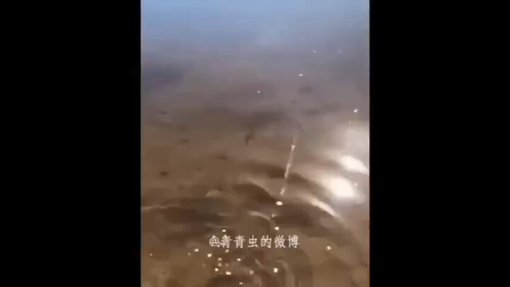 功德-1