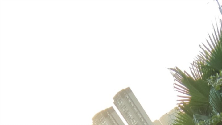 Ảnh viếng hôm nay #235