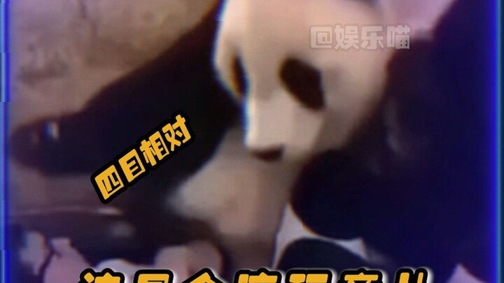 Đúng là chuyện chỉ con người mới làm được #hài hước #động vật