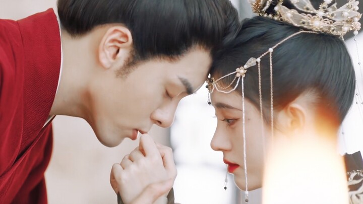 Trời ơi! Cặp đôi mèo chó này thực sự quá đáng yêu! Hôn má, nắm tay, đúng là đánh trúng điểm yếu sủng