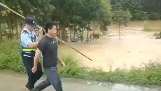 鱼这么好抓，你居然还敢用新能源？