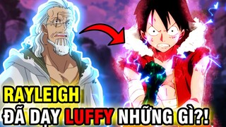 LUFFY HỌC ĐƯỢC GÌ TỪ RAYLEIGH?! | QUÁ TRÌNH TIMESKIP CỦA LUFFY