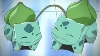 [Pokémon] Ngay cả Bulbasaur cũng có mục tiêu!!