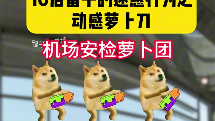 10后留子到哪都是萝卜王！belike