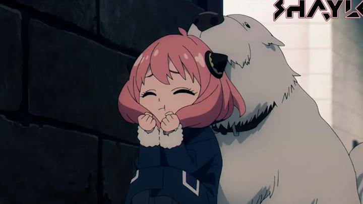 SPY x FAMILY ตอนที่ 14 - ช่วงเวลาฮาๆ/น่ารัก「ENG Sub」