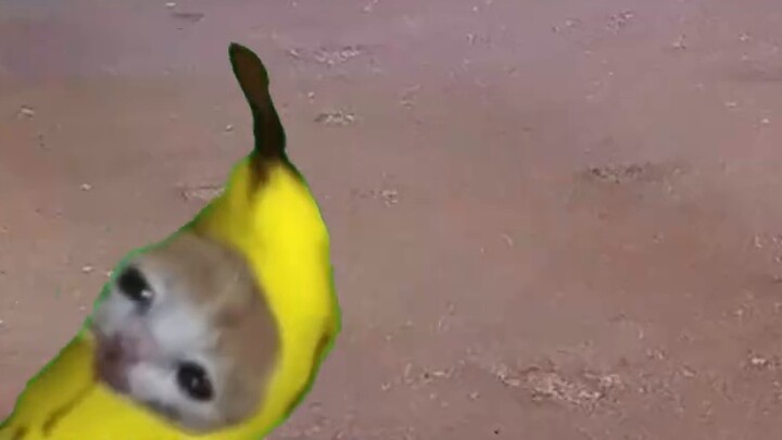Nhớ giữ bí mật lô hàng nhé!!!☝️🤓
