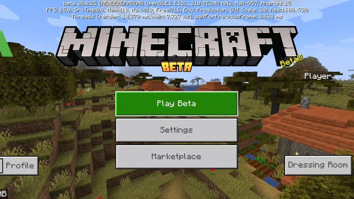 playing minecraft