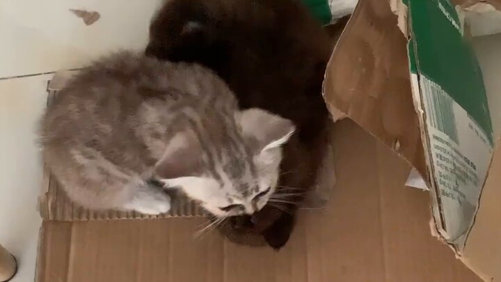 Except for office workers, office workers have 24-hour telephone service