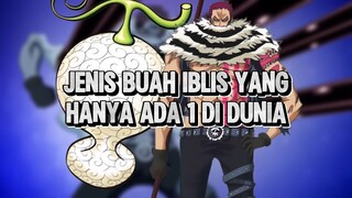 Buah Iblis Yang Hanya Ada 1 Di Jenis Nya !!!