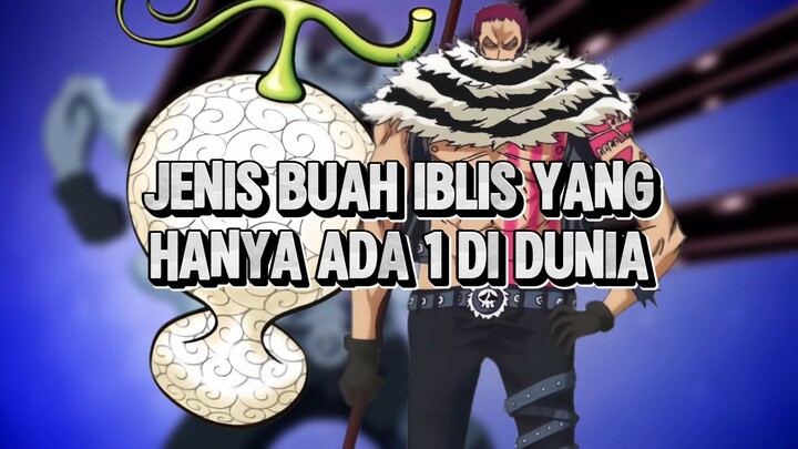 Buah Iblis Yang Hanya Ada 1 Di Jenis Nya !!!