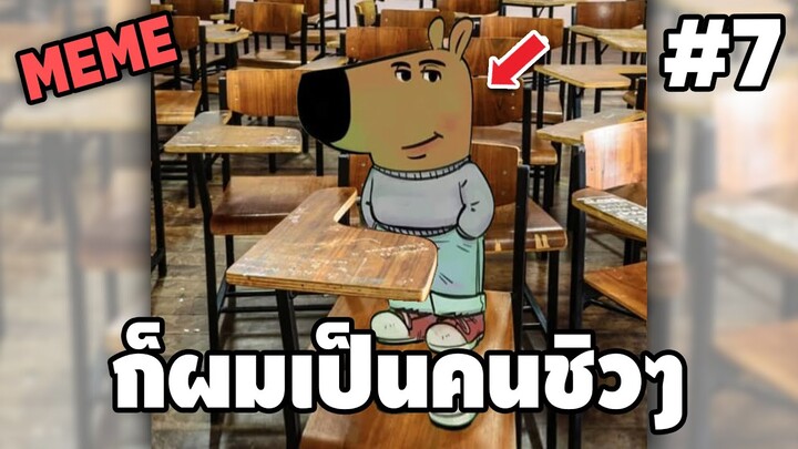 ภาพนี้ก็ฮาเหมือนกันนะเนี้ย #7 SS9 [ พากย์นรก MEME.EXE ] | easy boy