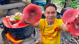 “เห็ดก่อแกง”หมู่เดียวเต็มกระต่าน้อย!! ความต้องการสูง แกงน้ำแดงๆหวานๆ