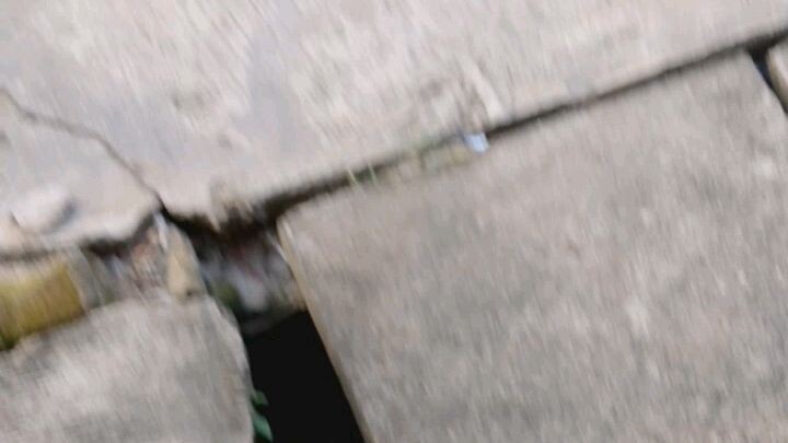 hm