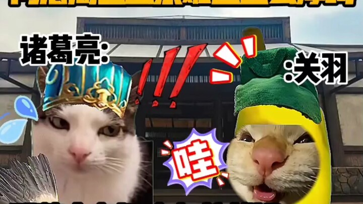 “Kịch bản meme về mèo” Chu Thương – lá chắn thịt có thanh máu dày đến thế sao?