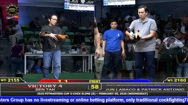 Boss AA vs 24m Grey Idol P.A