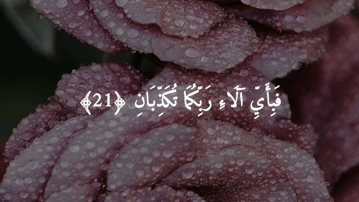 Beautiful Quran Recitation Of "Surah Al Rahman"