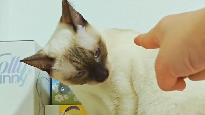 Đại ca, nếu không cập nhật nữa thì em tưởng anh bỏ rơi em rồi đấy!